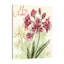 Christmas Amarillys With Gold II - Wrapped Canvas Painting-42024693