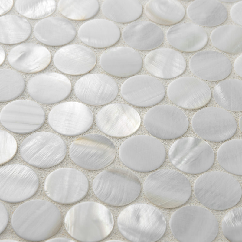 Carreau de mosaïque rond en coquillage de 1 po x 1 po Conchella