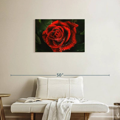 Élégante rose rouge rosée