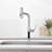 Single Handle Kitchen Faucet with Accessories-98547035