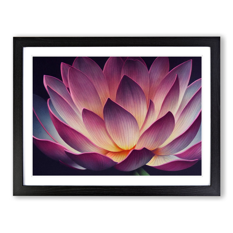 Cool Lotus Flower - Framed Print, Black Framed, 46cm H x 64cm W x 2cm D
