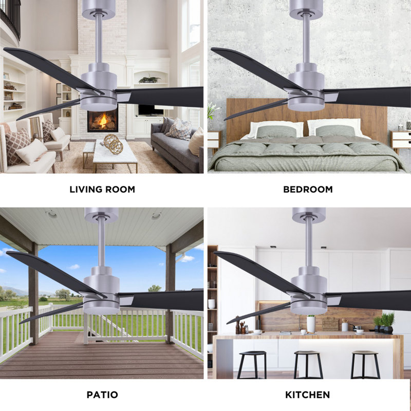 Alessandra Outdoor Downrod Ceiling Fan, Matte Black, Brushed Nickel