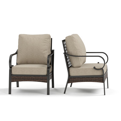 Hepatique Metal Outdoor Lounge Chair & Wicker Decor