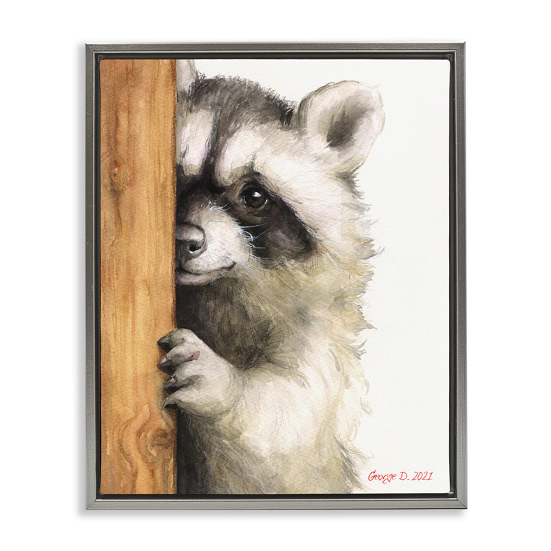 «Peering Raccoon», aquarelle grise encadrée par George Dyachenko, Cadre flottant gris lustré, 31" H x 25" W
