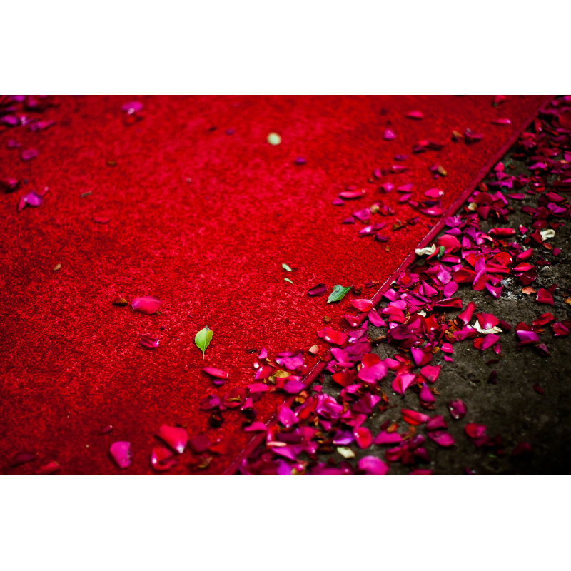 Leiann Rose Petals - Wrapped Canvas Print, 20cm H x 30cm W x 3.8cm D