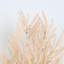 32 "branche artificielle Astilbe pour remplisseur de vase, printemps longue tige de maison de campagne pour les décorations de table de pièce maîtresse de table de bureau à domicile
