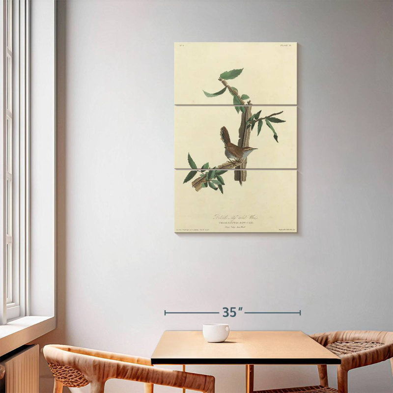 Keiri Bewick's Wren, 57" H x 36" W