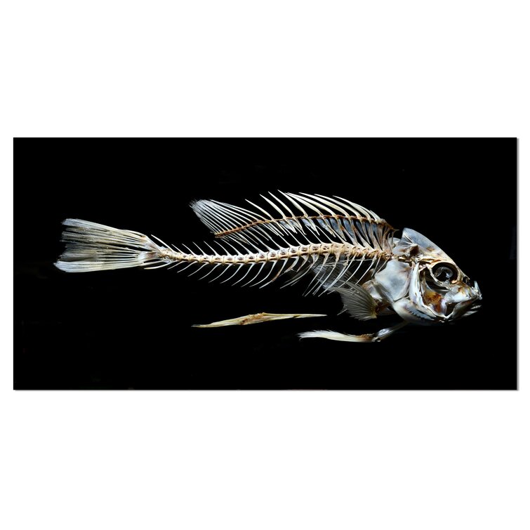 DesignArt Fish Skeleton Bone On Black On Canvas Print - Wayfair Canada