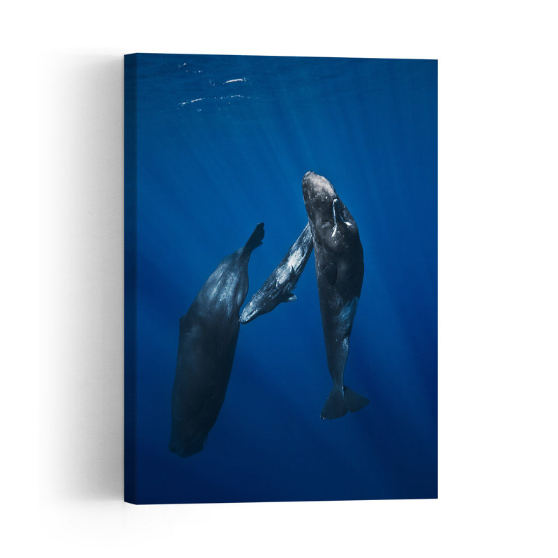 Whale Family Underwater Peaceful Abstract Contemporary Whale Nature Ocean Wall Art Print 1 Piece Wrapped Canvas Wall Art