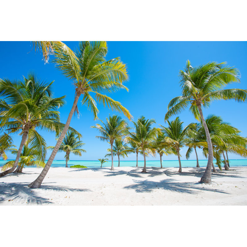 «Idyllic Tropical Beach» par Kaspiic - photographie sur toile tendue, L 48 po x H 32 po