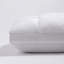 Coussin Palmerton-1888630158