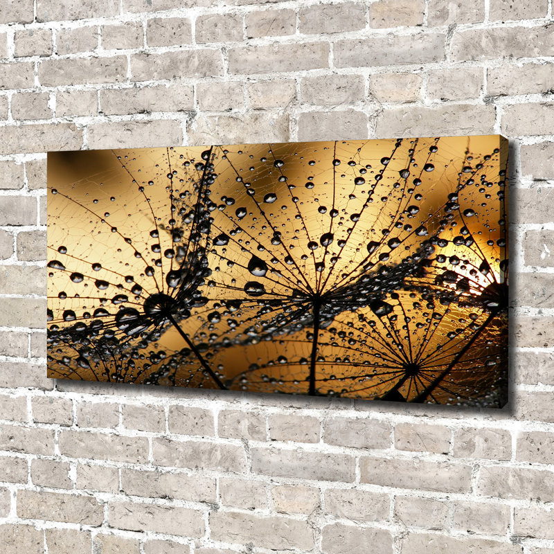 Dandelion Seeds - Wrapped Canvas Print