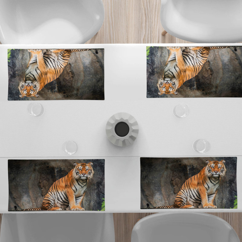 Récapitulatif 18,5" zoo