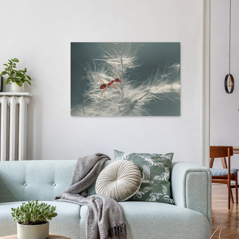 Red Ant On Feather Plant Delicate Contemporary Ant Nature Plant Wall Art Print 1 Piece Wrapped Canvas Wall Art