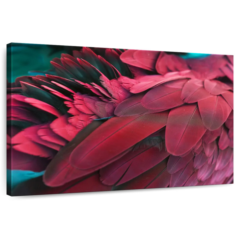 Brampt Feather, 26" H x 39" W