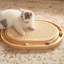 Jouet pour chat et planche à gratter