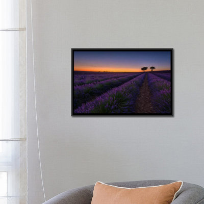 «Lavender Lines», reproduction de photo sur toile