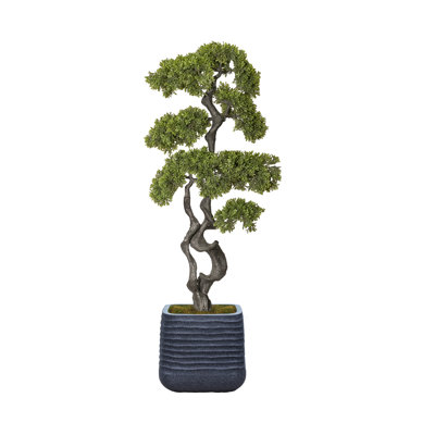 55.57'' Faux Bonsai Tree in Planter