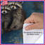 Famille de housses de couette ratons laveurs-123335246