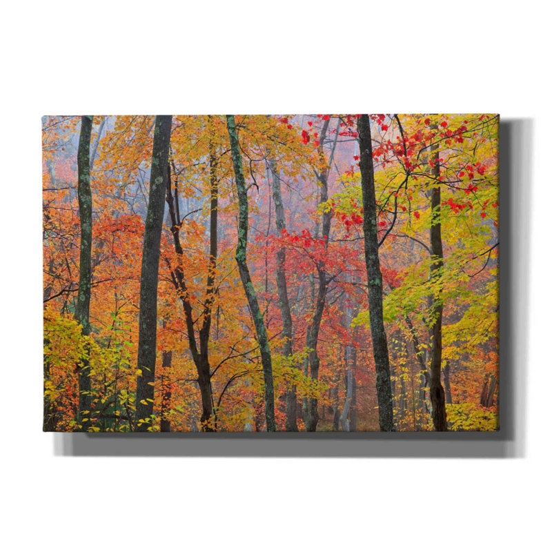 «Autumn Colors» par Patrick Zephyr, art mural sur toile, H 18 po x l 26 po x P 0,75 po