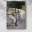 Impression sur toile encadrée-1899714368
