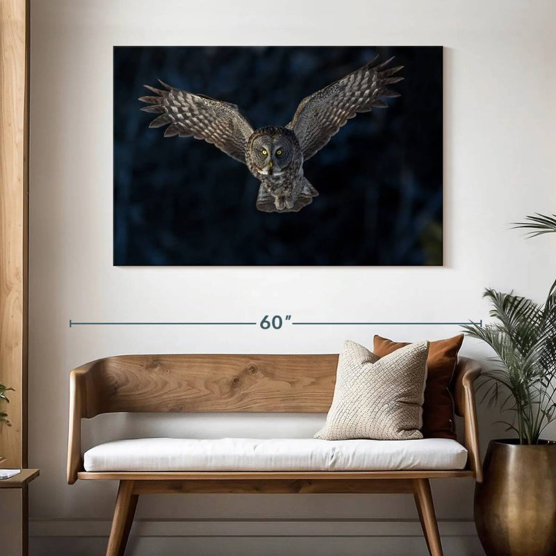 Hibou gris volant, H 32 po x l 48 po