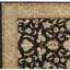 Hand Knotted Oriental Area Rug in Black/Beige-662654249