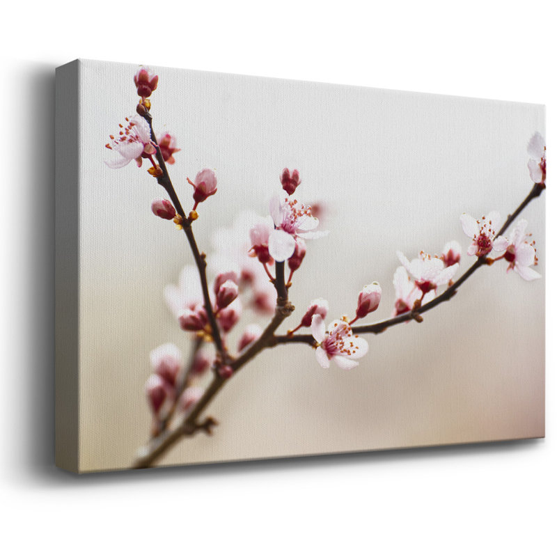 Cherry Blossom Study I, toile tendue avec châssis de qualité supérieure - prête à être accrochée, H 18 po x l 27 po