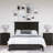 Renee Storage Platform Bed-92912870-92387744