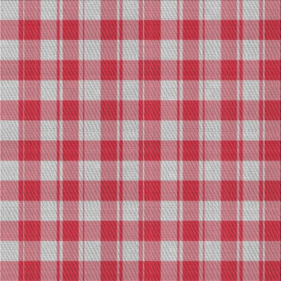Haubstadt Plaid Indoor Rug