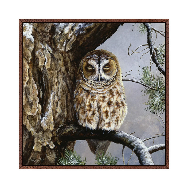 Half Asleep - Tawny Owl by Jeremy Paul - Painting on Canvas, 45.72cm H x 45.72cm W x 3.81cm D, Classic Brown Wood Framed