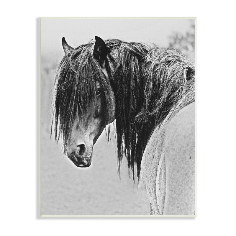 Portrait de cheval noir et blanc noir et blanc par Sally Linden - Peinture, H 15 po x l 10 po x P 0,5 po, Bois