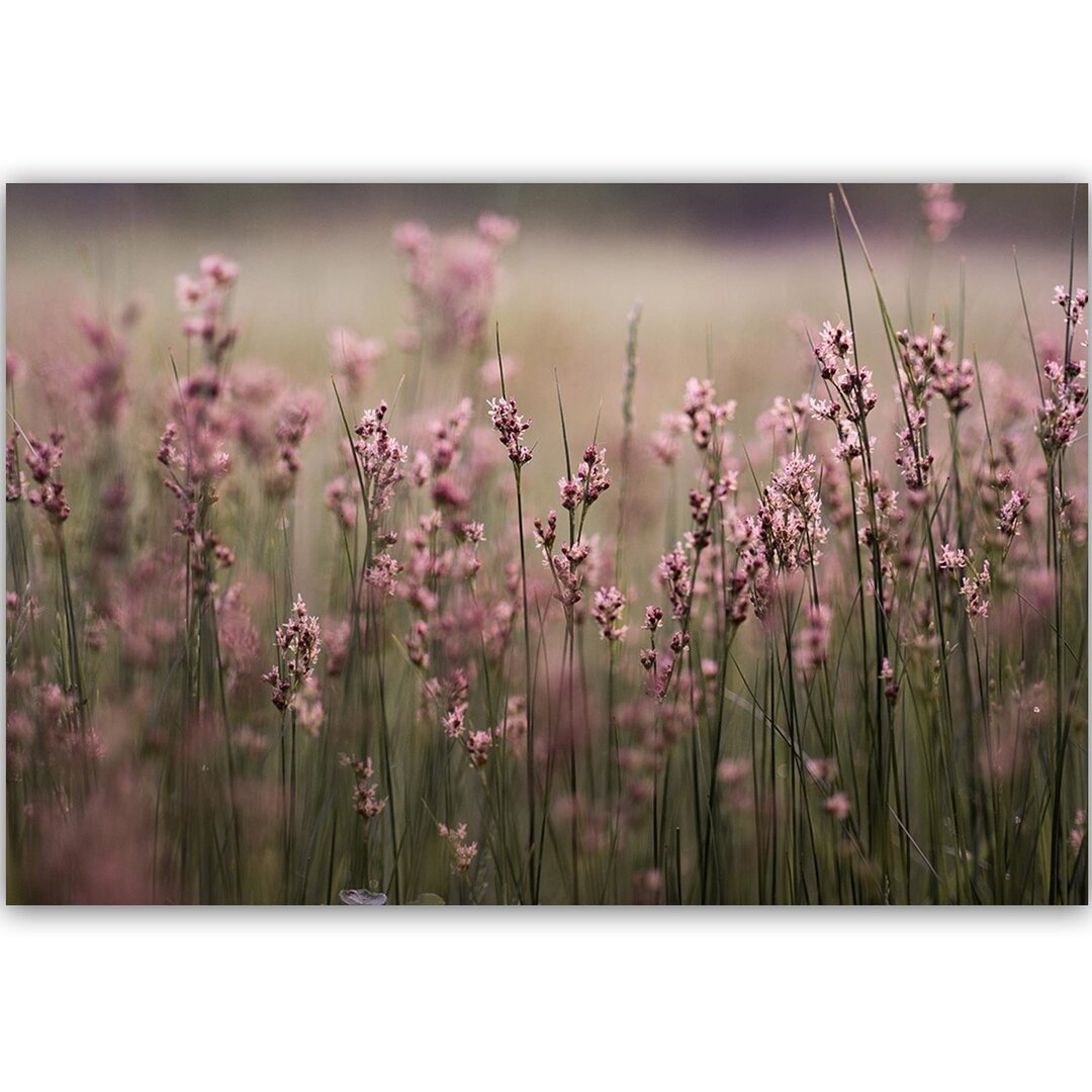 Leinwandbild Pink Flower Field