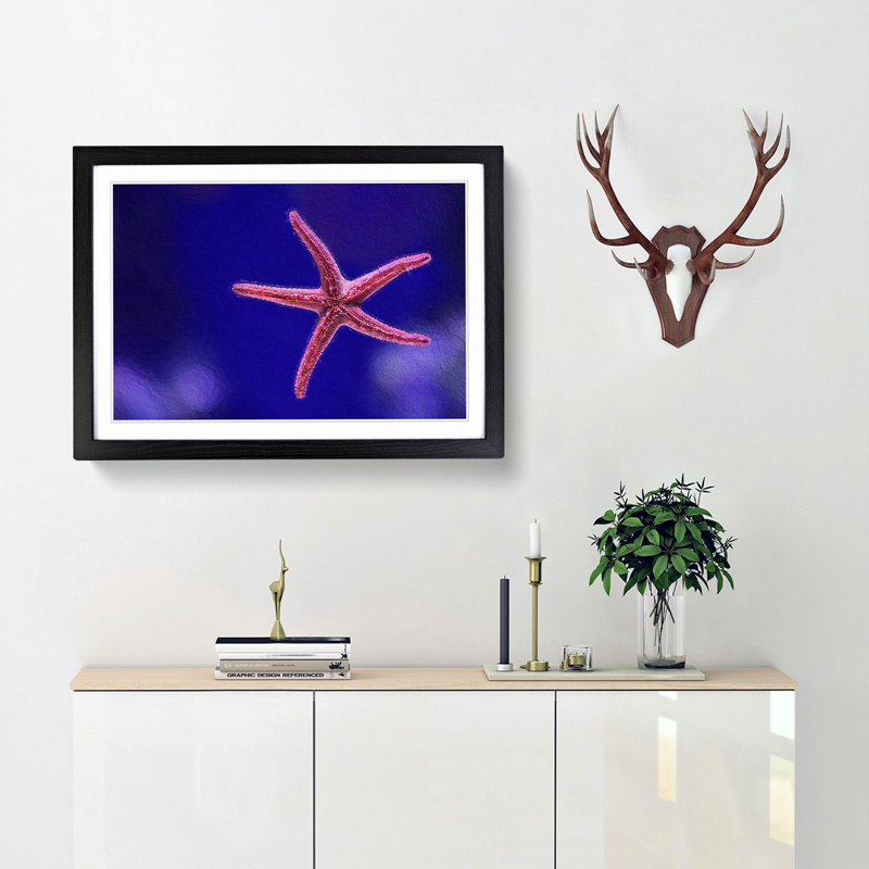 Pink Starfish - Picture Frame Graphic Art Print, 36cm H x 48cm W x 2cm D, Black Framed