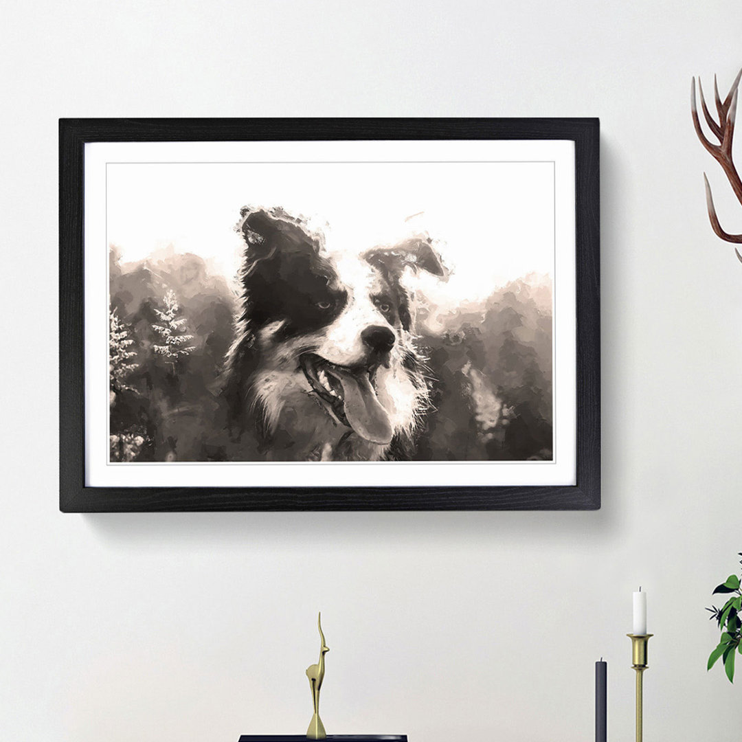 Border Collie Dog in a Meadow in Abstract - Framed Print