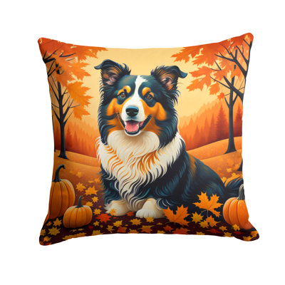 Other/No Pattern Outdoor Throw Pillow