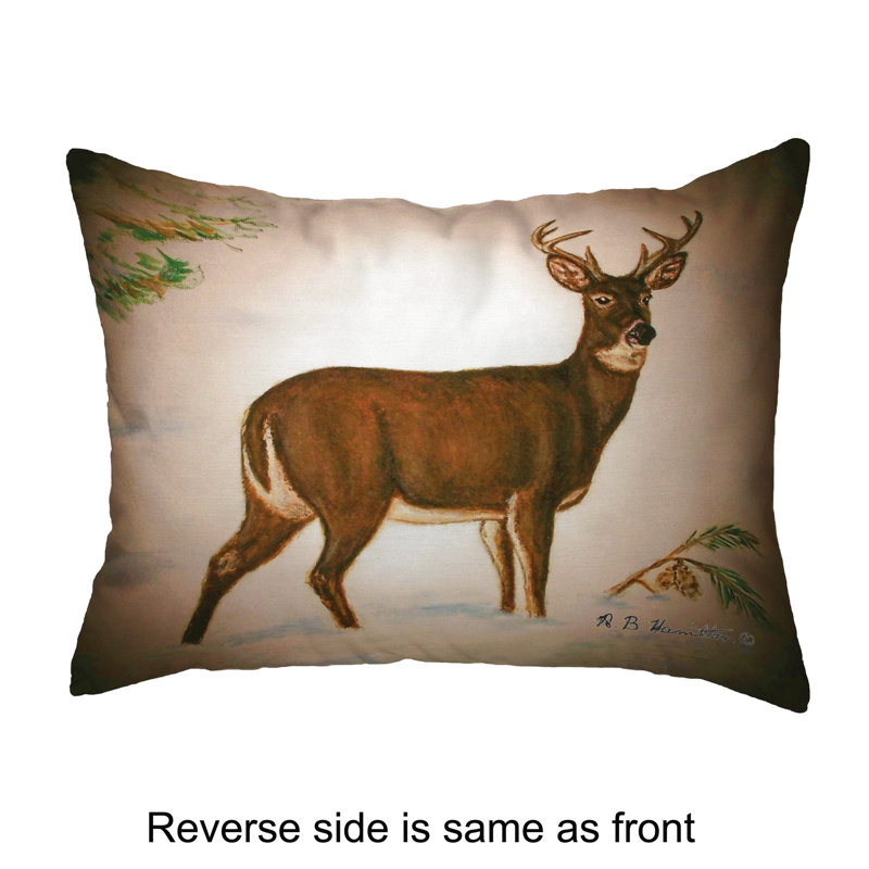  Coussin intérieur / extérieur Buck, 11 po x 14 po