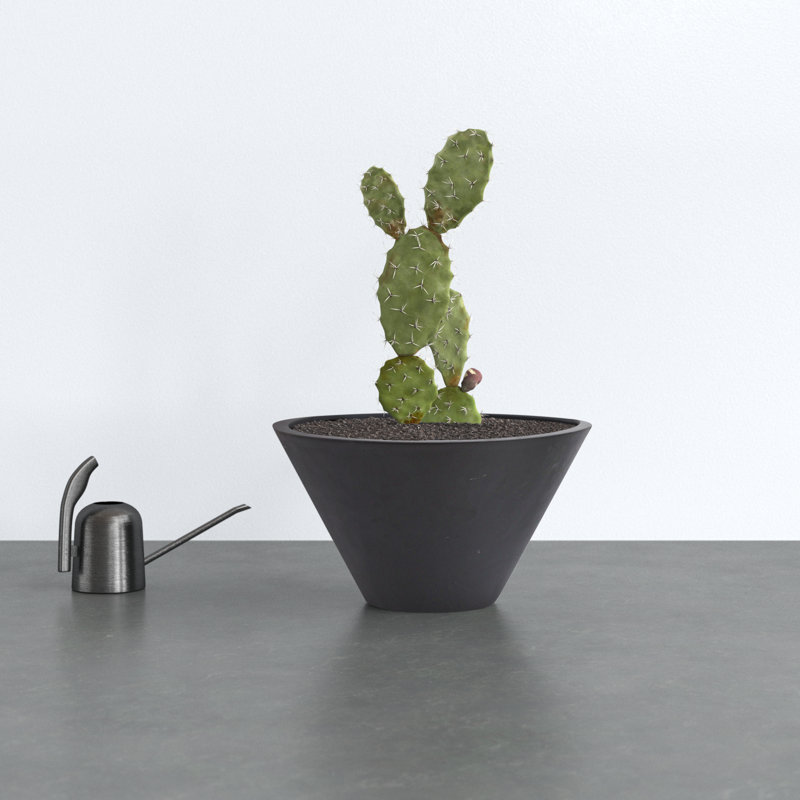 Neo Handmade Pot Planter, Black, 13.25" H x 23.5" W x 23.5" D