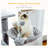 60-Inch Tall Multi-Level Indoor Cat Tree