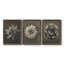 «Blossfeldt Flower I», ensemble de 3 reproductions de photos sur toile-407649712-407649714