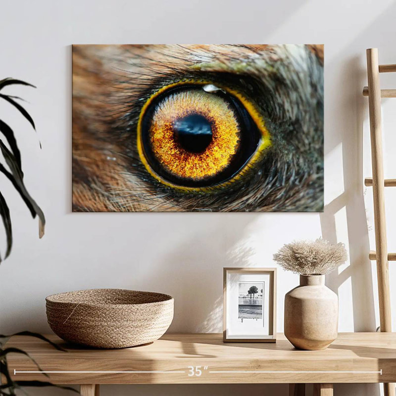 Bird's Eye, 16" H x 24" W