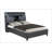 Queen Music Bed