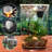 8.47'' x 8.47'' x 11.62'' Plastic Reptile Terrarium