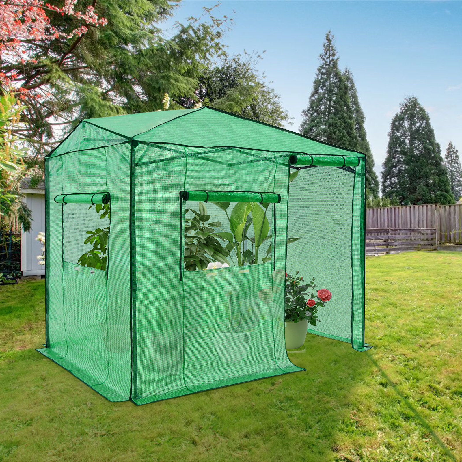 EAGLE PEAK Pop Up Greenhouses 8' X 6' Portable Instant Walk-In Garden  Greenhouse & Reviews
