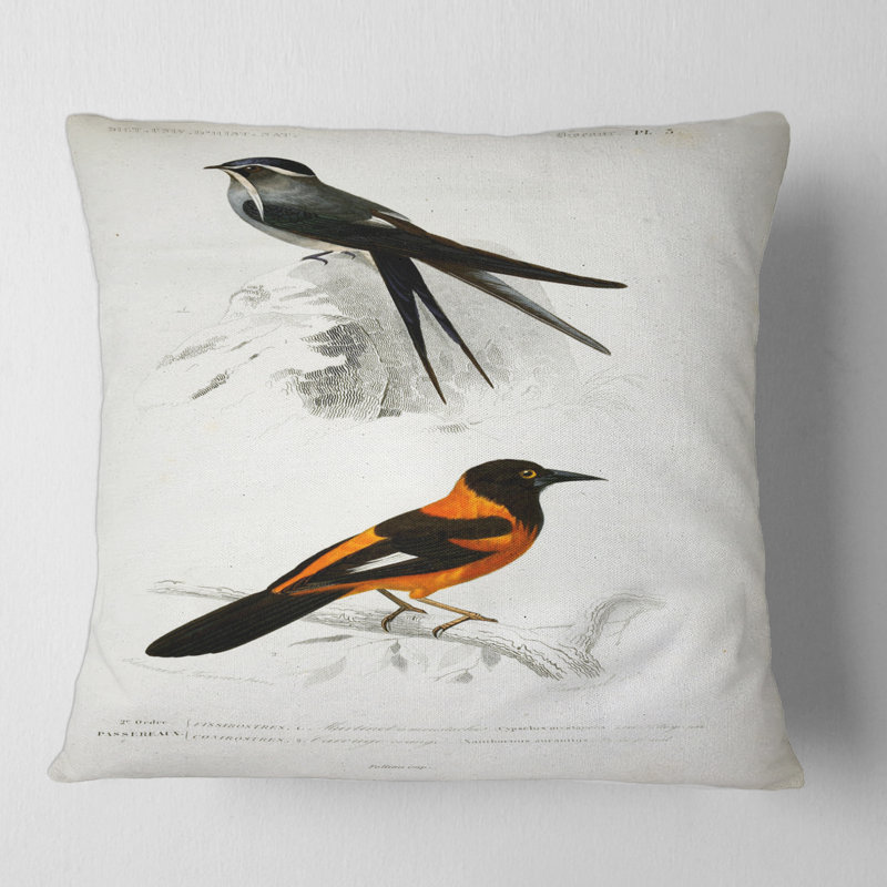 Oiseau rétro II - coussin traditionnel imprimé, 16" x 16"