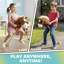AIYAPLAY Stick Horse Hobby Horse, Wood Wheels, Grip Handle, 95 cm, Brown