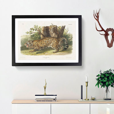 Jaguar by J.W. Audubon - Framed Print