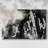 Soft Scale II -Gallery Wrapped Cavas-2002554807