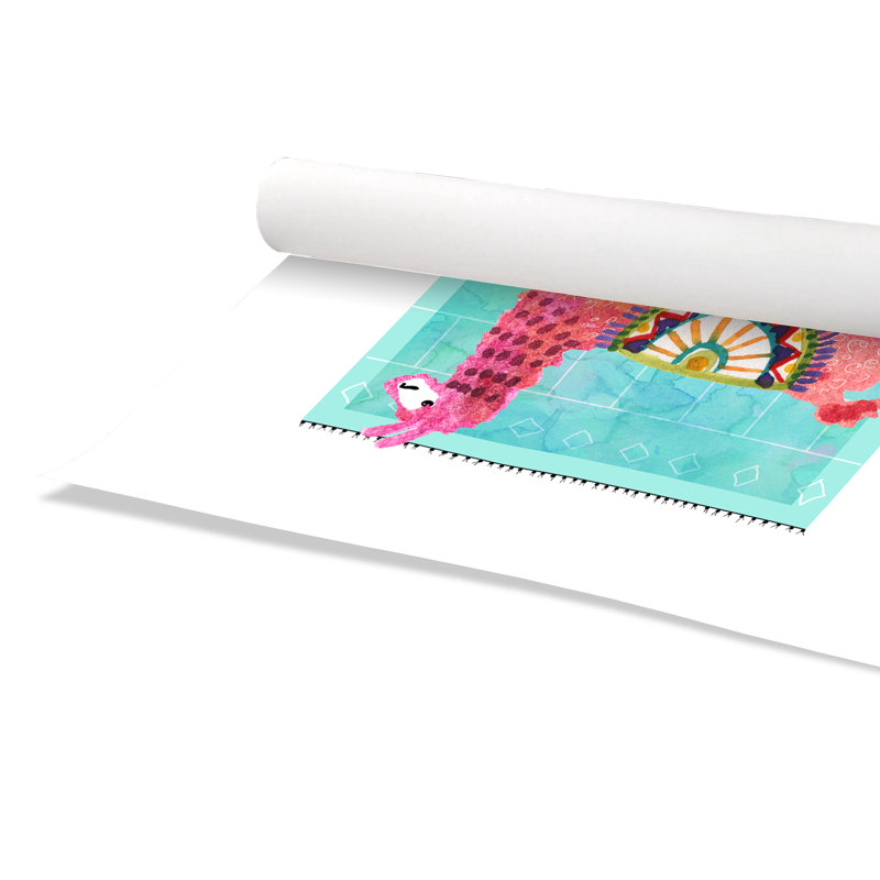 Impression sur papier roulé «Lovely Llama III», H 36 po x l 24 po x P 1 po