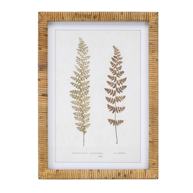 Fougère encadrée en bois (ensemble de 4)